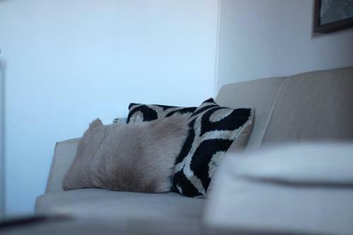 Apartamento Holidays In Santa Catarina