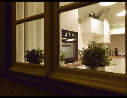 Apartment In Castelo S. Jorge