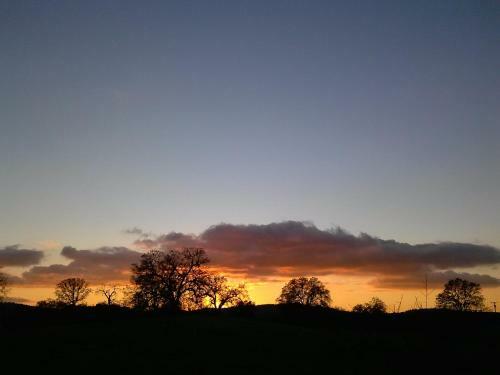 The Branded Calf Bed & Breakfast