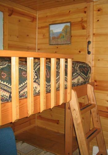 Fivespot Cabin