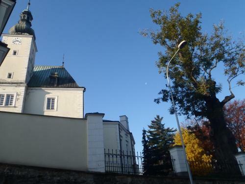 Hotel & Caffe Silesia
