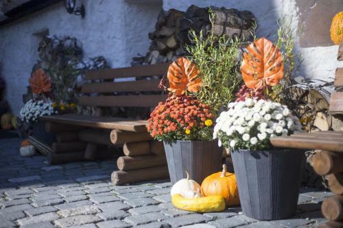 Hostal Hrad Vildstejn
