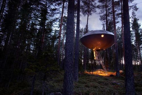 Lodge Treehotel