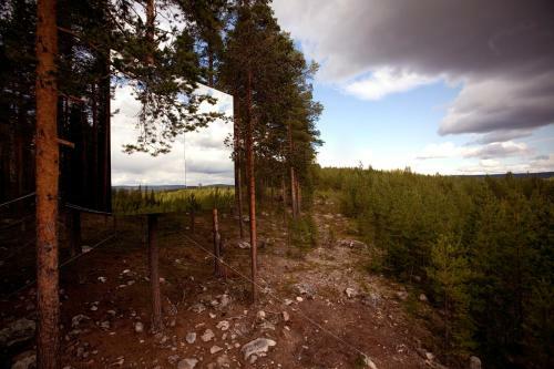 Lodge Treehotel