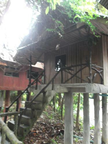 Bamboo House