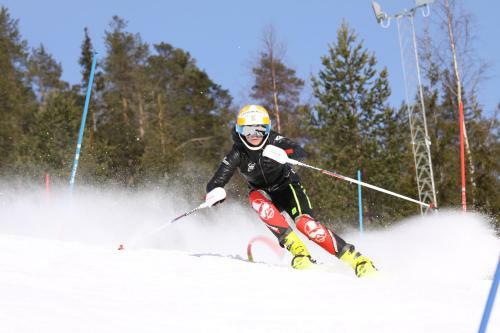 Hotel Stf Hemavans Fj�llcenter