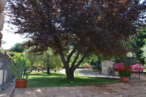 Apartamento Casale Santa Caterina