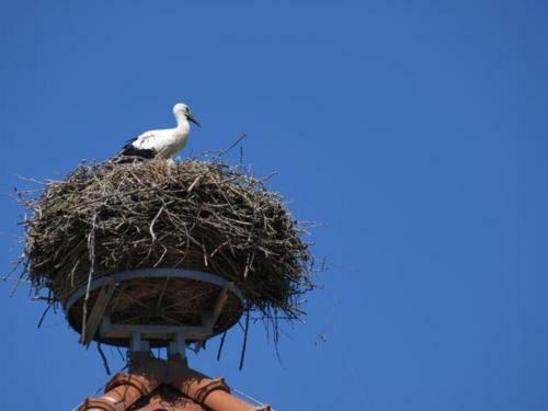 Landwerthotel Gutshof Insel Usedom