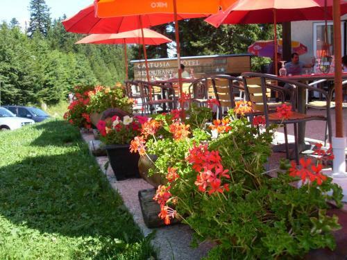 Hotel Cartusia