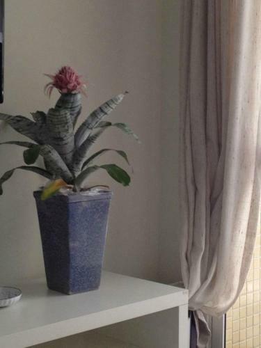 Apartamentos Riviera De S�o Louren�o
