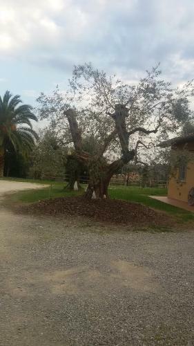 Agroturismo Agriturismo L'isola