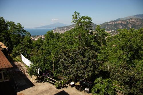 Bed & Breakfast L' Arancio In Fiore