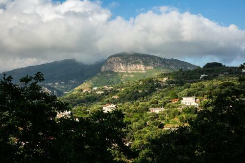 Bed & Breakfast L' Arancio In Fiore