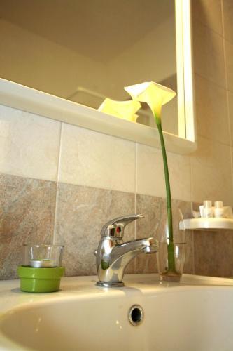 Bed & Breakfast L' Arancio In Fiore