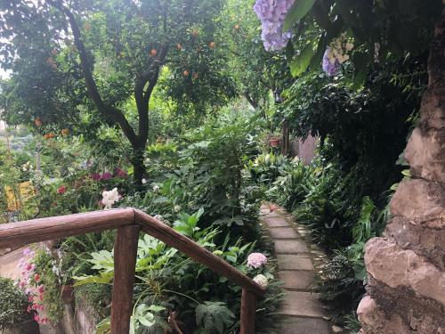 Bed & Breakfast L' Arancio In Fiore