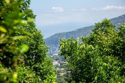 Bed & Breakfast L' Arancio In Fiore