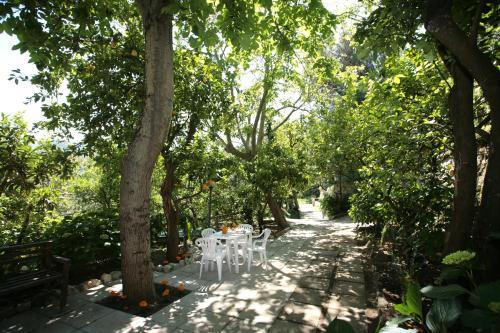 Bed & Breakfast L' Arancio In Fiore