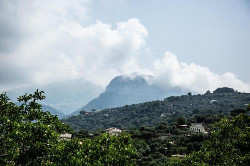 Bed & Breakfast L' Arancio In Fiore