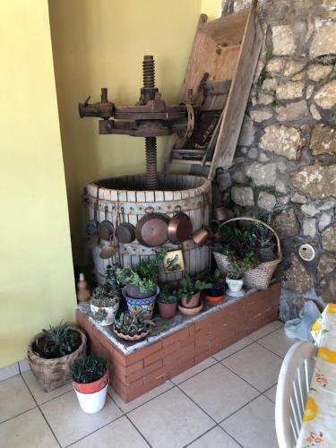 Bed & Breakfast L' Arancio In Fiore