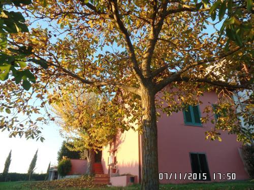 Agroturismo Agriturismo Le Caselle