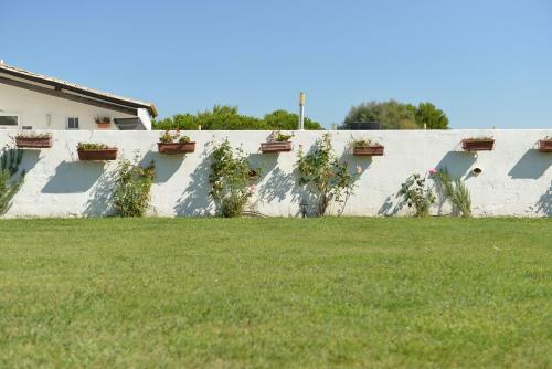 Hotel H�tel Mas De La Grenouill�re