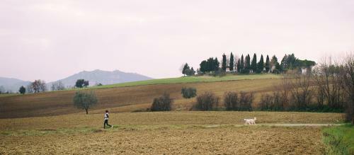 Agroturismo Casa Dell'editore - Books & Breakfast