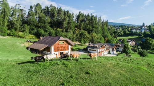 Agroturismo Appartments Neuhof