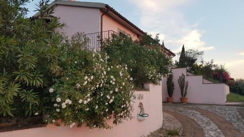Villa Sassovivo