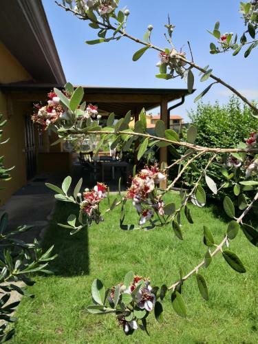 Bed & Breakfast Gassa D'amante