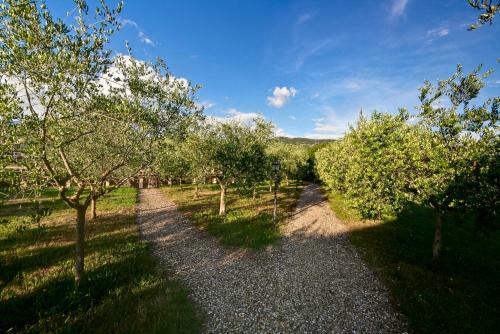 Agroturismo Villa Olena