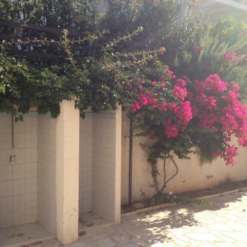 Apartamento Appartamento A Marina Di Ragusa
