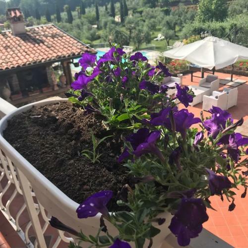 Agroturismo Il Ghetto Farm Holiday