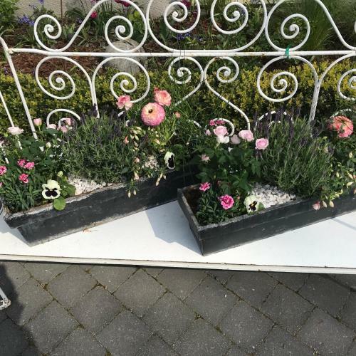 Bed & Breakfast O Mylle Douceurs