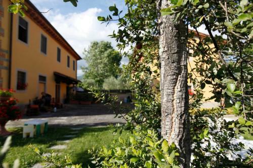 Casa Vacanza Podere Chiantini