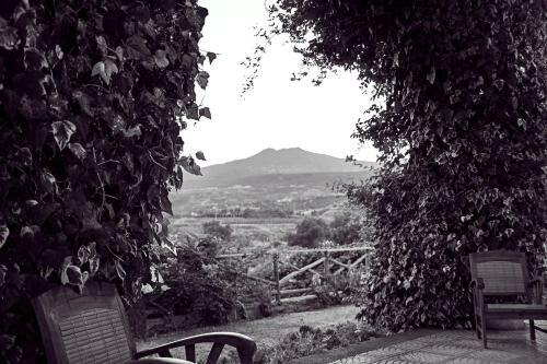 Agroturismo Antico Borgo Agriturismo
