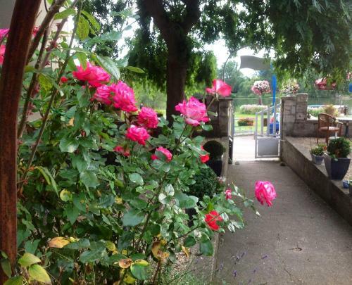Bed & Breakfast Chambres D'h�tes La Villa Ali�nor