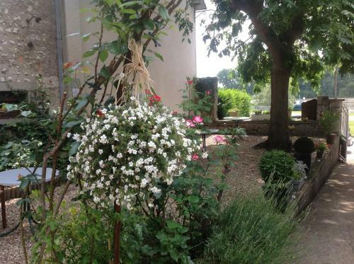 Bed & Breakfast Chambres D'h�tes La Villa Ali�nor
