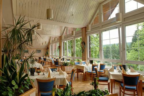 Wald - & Sporthotel Festenburg