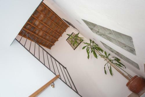 Apartamentos Jerez Alameda Del Banco