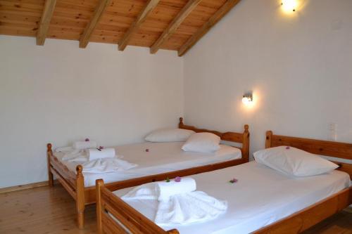 Hostal Aiolos House