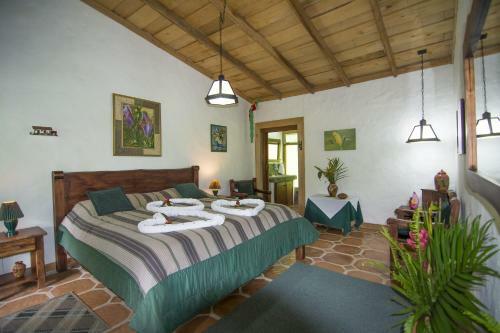 Lodge Bosque De Paz Reserva Biologica