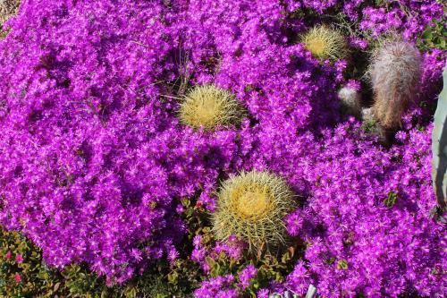 Agroturismo El Jard�n De Los Sue�os