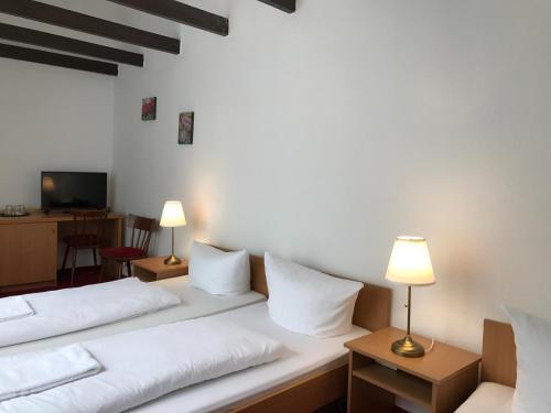 Ritter Hotel