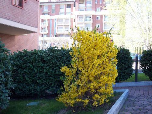 B&B Il Parco