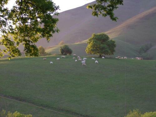 Bed & Breakfast Chambres D'h�tes Maison Paillet