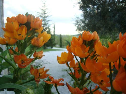 Agroturismo Agriturismo Valdichiascio