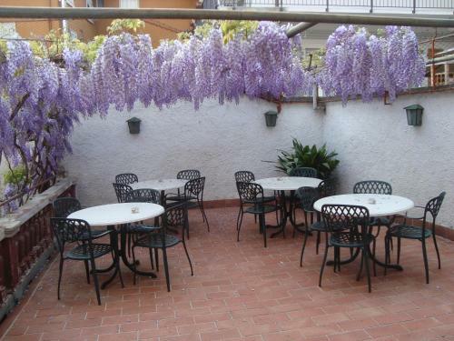 Hostal Hotel Marchi
