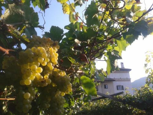 Apartamento Residence La Colombera