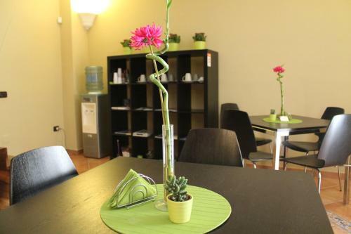 B&B Bouganville
