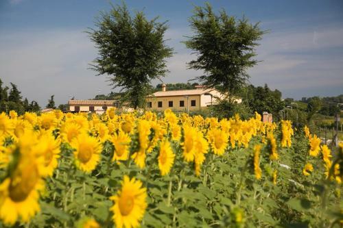 Agroturismo Le Fiabe Hotel Resort